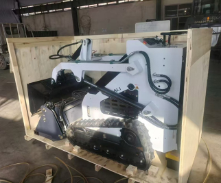 2025 Skid Steer Loader Packed and Shipped to Italy in a 40ft High Cube Container